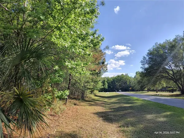$125,000 | Tbd Northwest Tbd Nw 141st Avenue, Williston, FL 32696