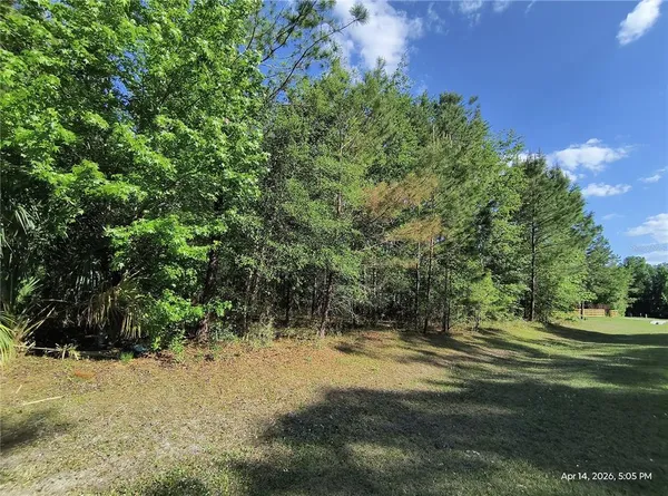 $125,000 | Tbd Northwest Tbd Nw 141st Avenue, Williston, FL 32696