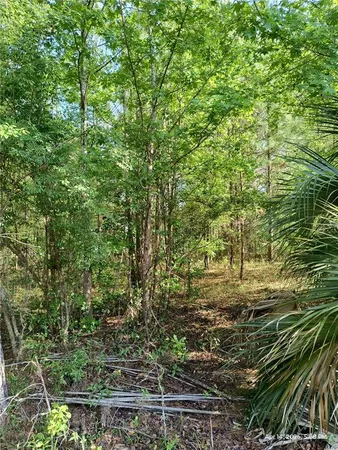 $125,000 | Tbd Northwest Tbd Nw 141st Avenue, Williston, FL 32696
