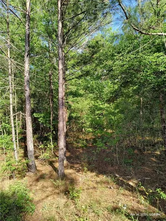 $125,000 | Tbd Northwest Tbd Nw 141st Avenue, Williston, FL 32696
