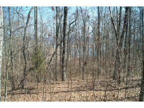 0 Mallard Baye, Unit 43 Rutledge, TN 37861 - Photo 1 of 3 Photo 1
