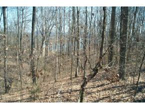 0 Mallard Baye, Unit 43 Rutledge, TN 37861 - Photo 2 of 3 Photo 2