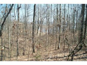 0 Mallard Baye, Unit 43 Rutledge, TN 37861 - Photo 3 of 3 Photo 3