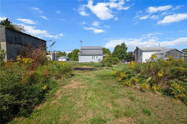 a view of a big yard with potted plants and large tree