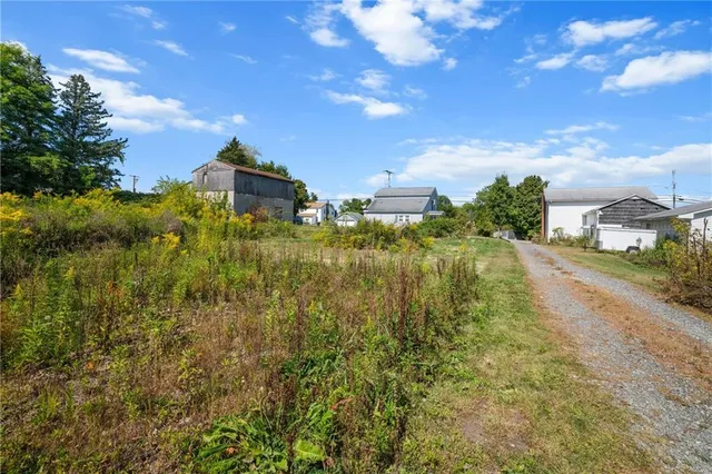 a view of a pathway both side of grassy field with shrub