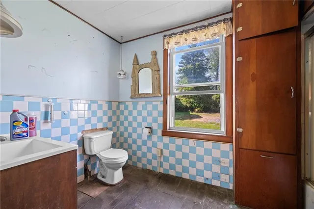 a bathroom with a toilet a sink and a shower