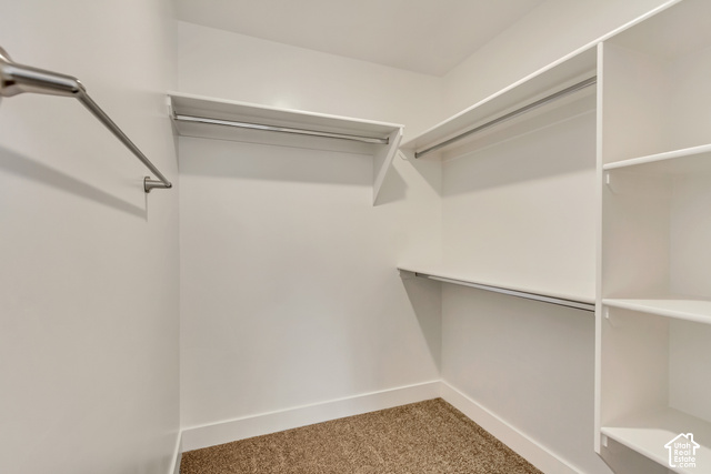 3357 South 960 West Logan, UT 84321 - Photo 10 of 17 Walk-in closet featuring carpet flooring, multiple shelving units, and built-in metal hanging rods