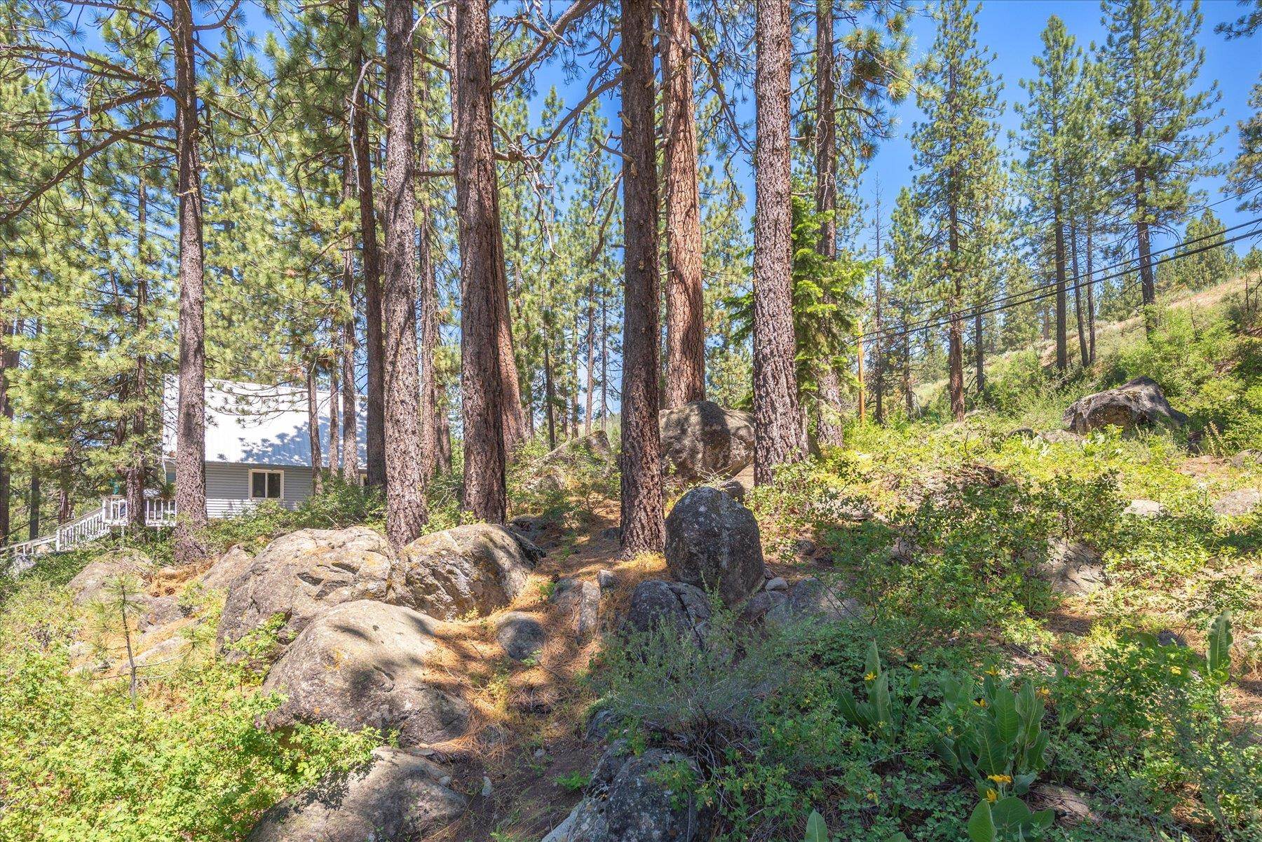 13020 Donner Pass Road Truckee, CA 96161 - Photo 10 of 18