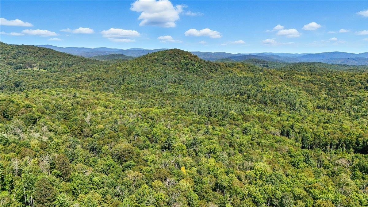 0 Hall Ranch Road Grafton, VT 05146 - Photo 11 of 23