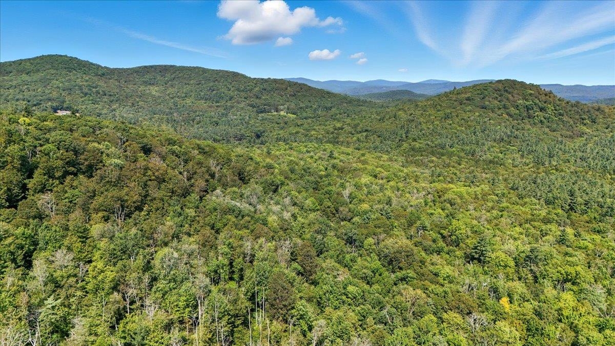 0 Hall Ranch Road Grafton, VT 05146 - Photo 12 of 23