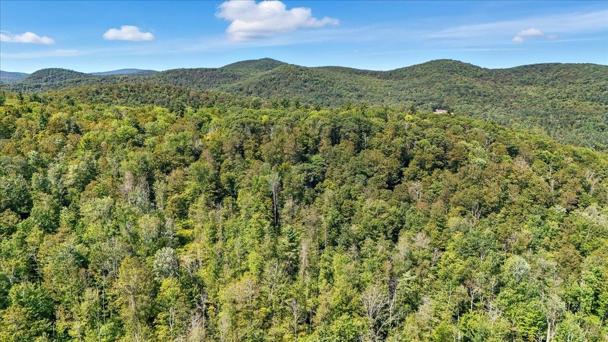 0 Hall Ranch Road Grafton, VT 05146 - Photo 13 of 23