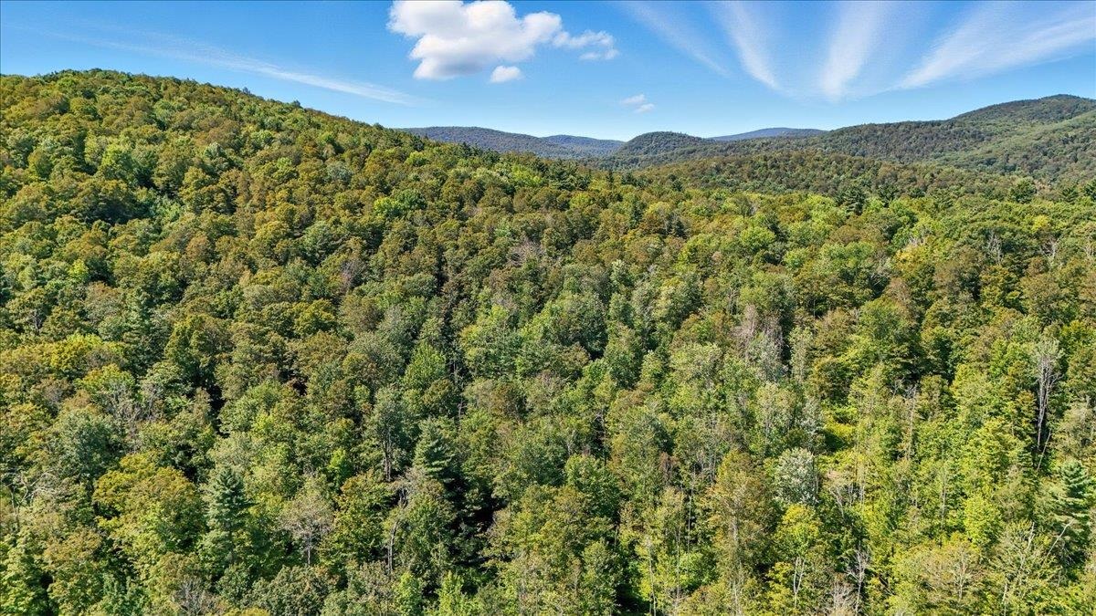 0 Hall Ranch Road Grafton, VT 05146 - Photo 14 of 23