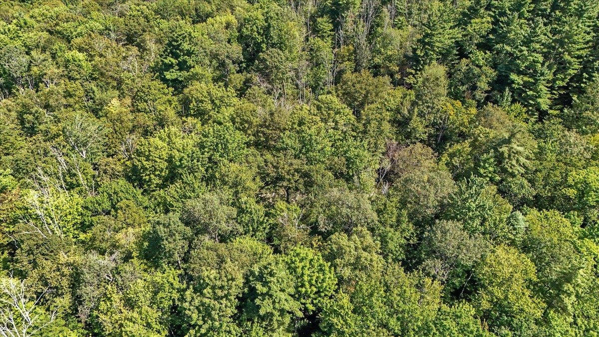 0 Hall Ranch Road Grafton, VT 05146 - Photo 15 of 23