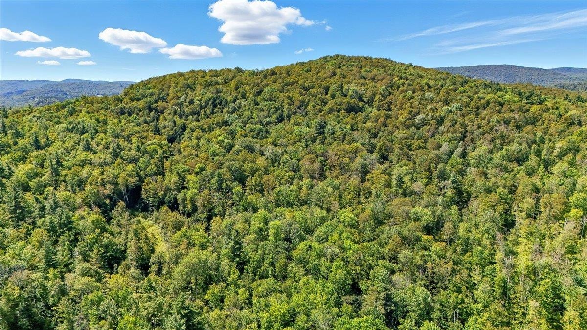 0 Hall Ranch Road Grafton, VT 05146 - Photo 19 of 23