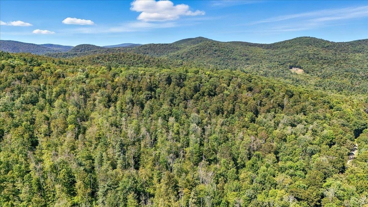 0 Hall Ranch Road Grafton, VT 05146 - Photo 20 of 23