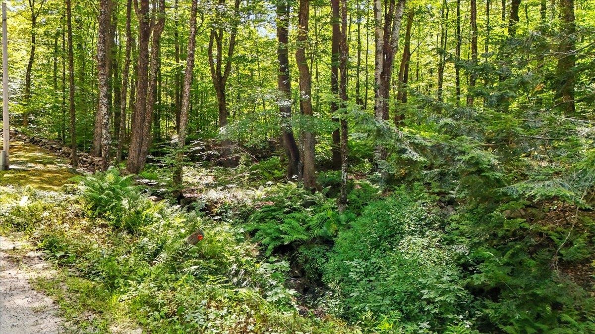 0 Hall Ranch Road Grafton, VT 05146 - Photo 2 of 23