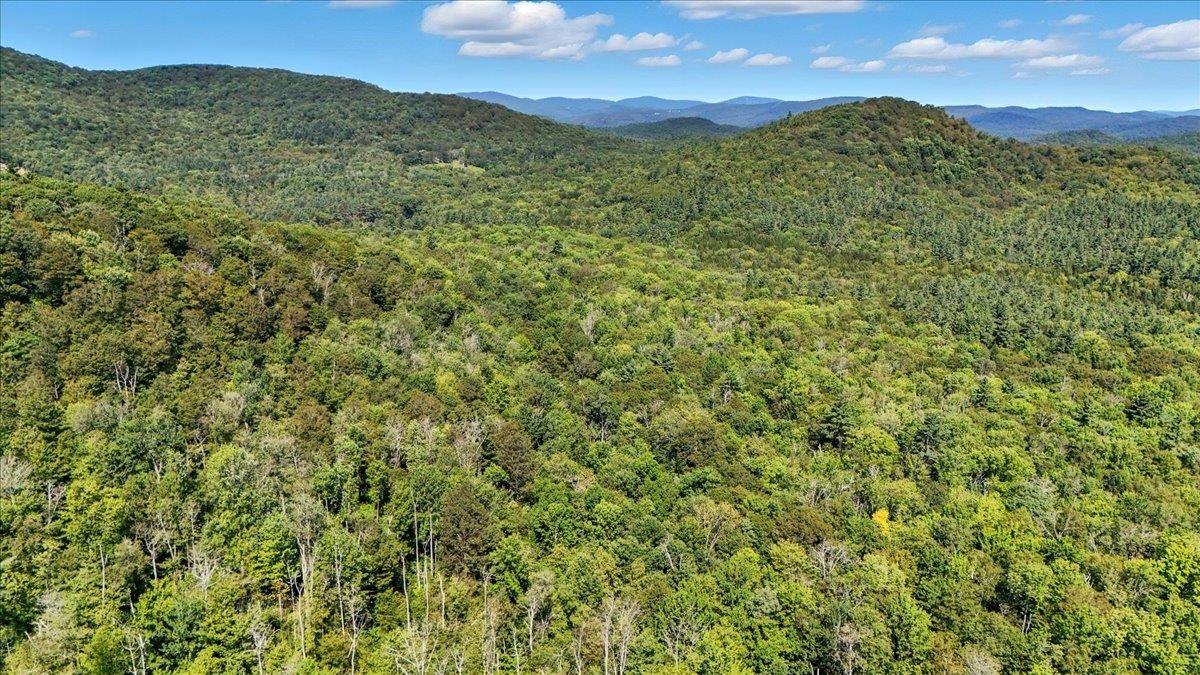 0 Hall Ranch Road Grafton, VT 05146 - Photo 23 of 23