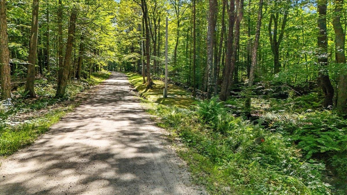 0 Hall Ranch Road Grafton, VT 05146 - Photo 3 of 23