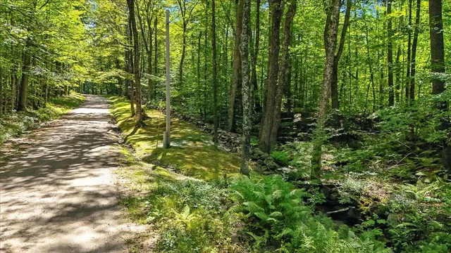 $175,000 | 0 Hall Ranch Road, Grafton, VT 05146