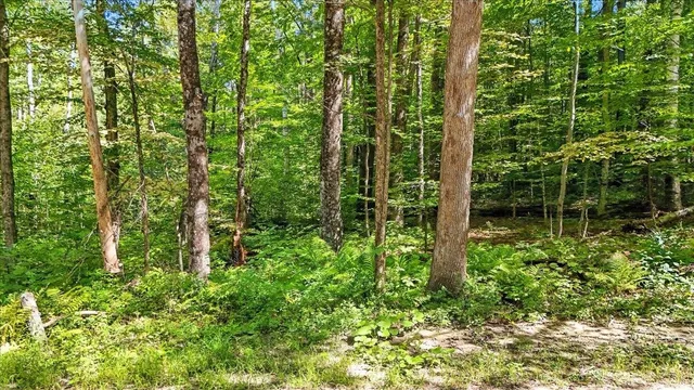 $175,000 | 0 Hall Ranch Road, Grafton, VT 05146