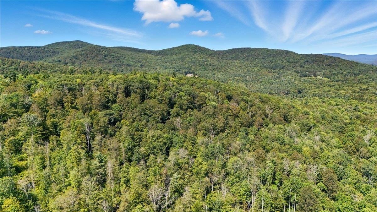 0 Hall Ranch Road Grafton, VT 05146 - Photo 6 of 23