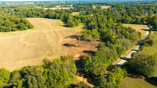 a view of a yard with trees
