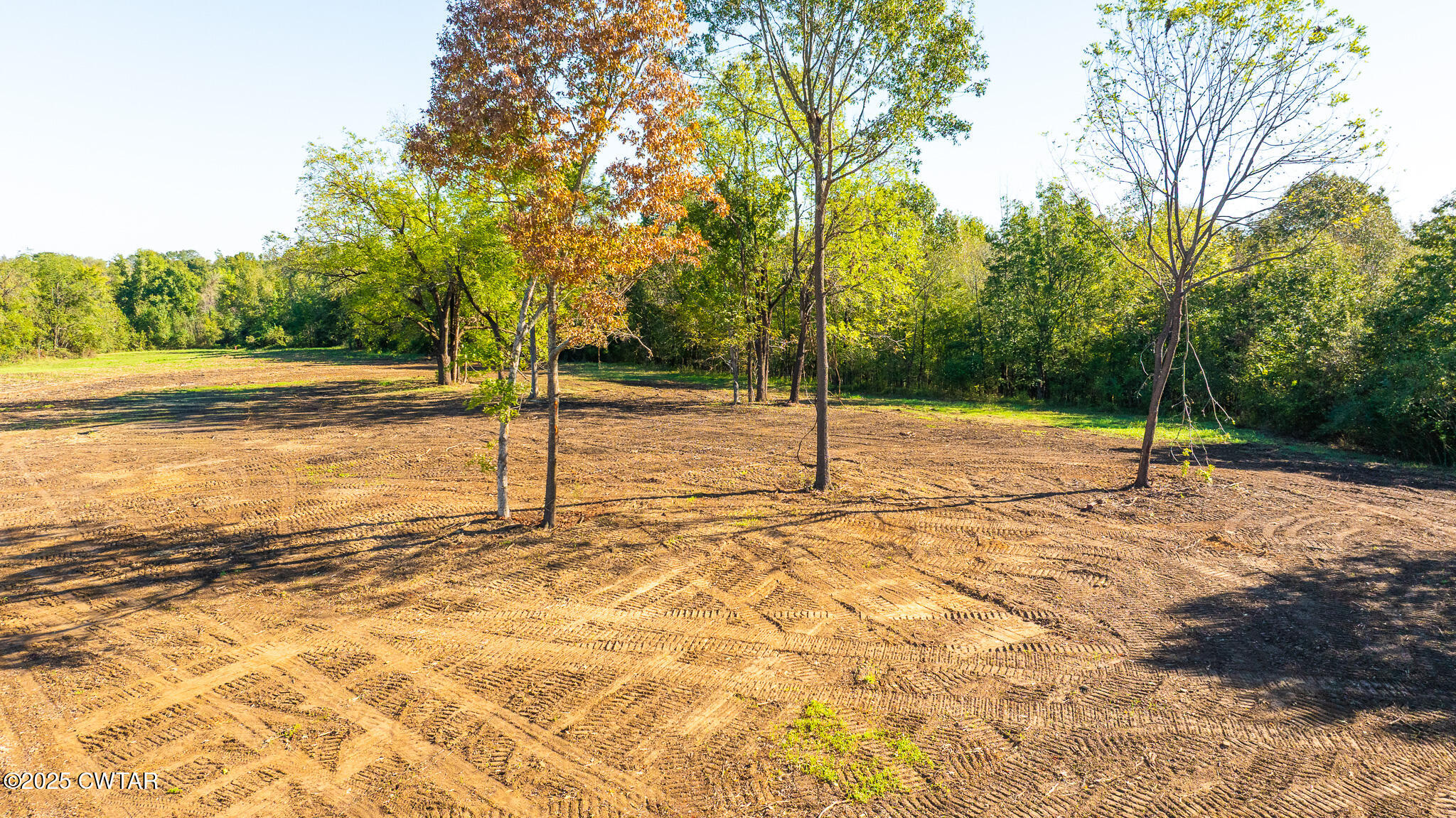 4 Hearn Road Greenfield, TN 38230 - Photo 3 of 9 a view of a yard with trees