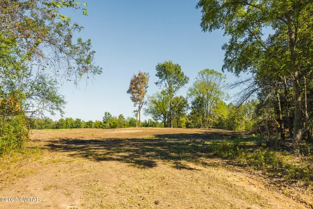 a view of a yard with a tree