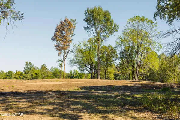 a view of outdoor space with trees