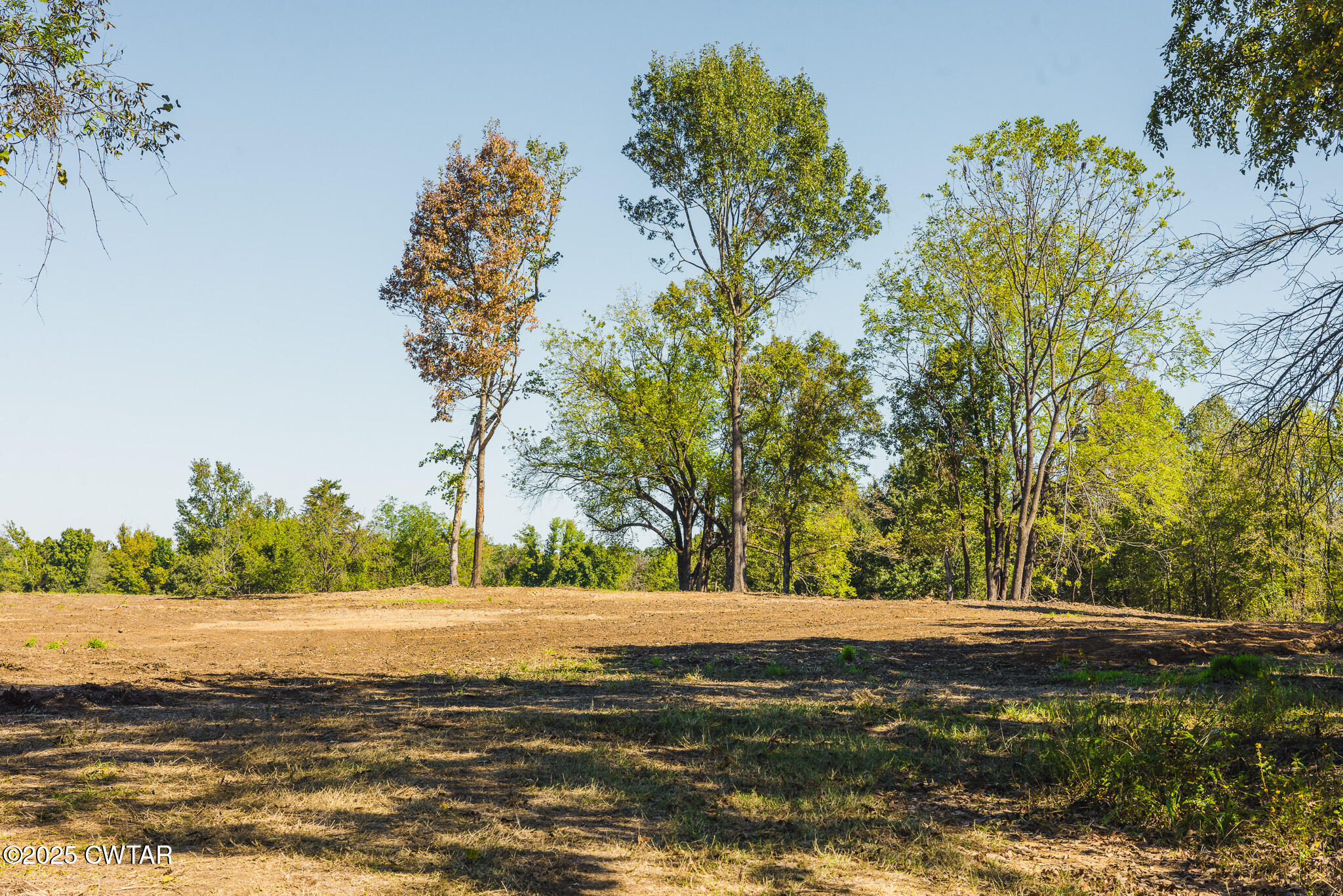 4 Hearn Road Greenfield, TN 38230 - Photo 5 of 9