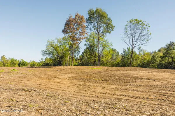 a view of swimming pool with a yard