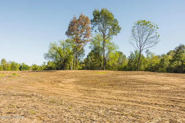a view of swimming pool with a yard