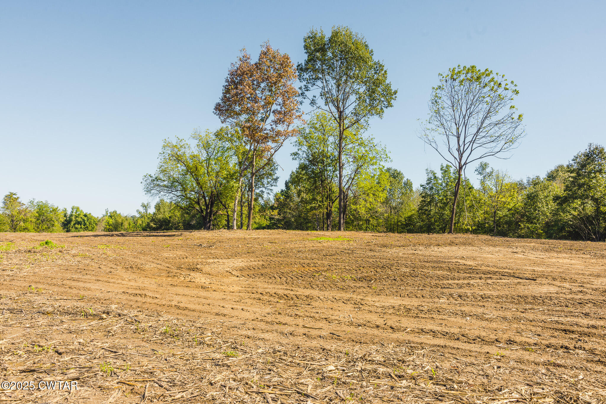 4 Hearn Road Greenfield, TN 38230 - Photo 6 of 9 a view of an ocean beach