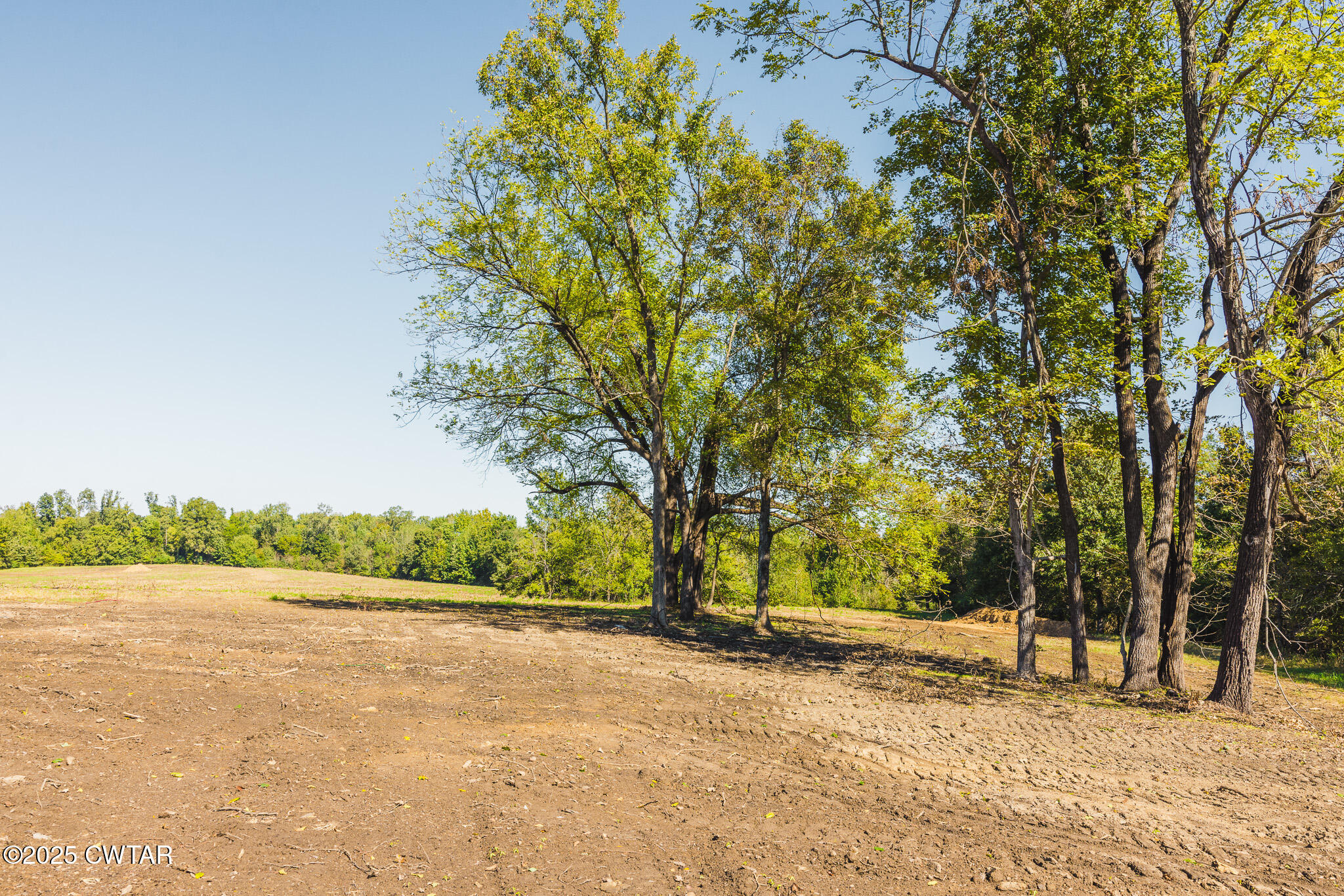 4 Hearn Road Greenfield, TN 38230 - Photo 8 of 9 a view of outdoor space with trees