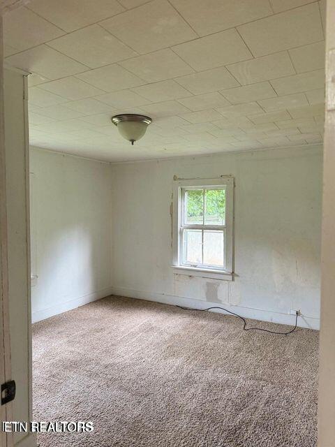231 Carson Springs Road Newport, TN 37821 - Photo 6 of 9 Carson 7