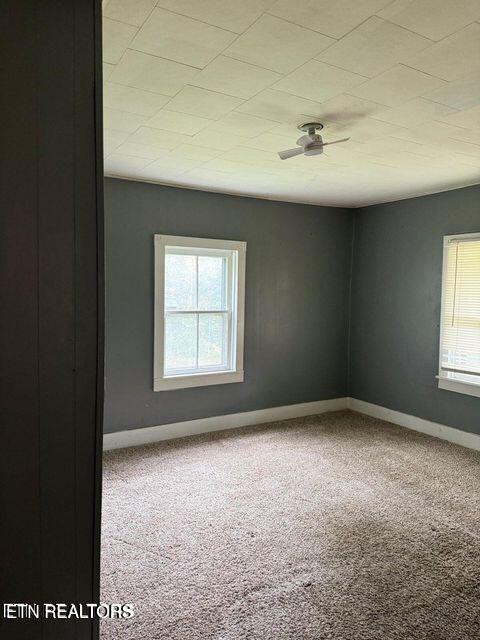 231 Carson Springs Road Newport, TN 37821 - Photo 7 of 9 Carson 6