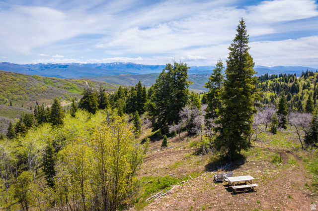 1667 West Tollgate Cyn Road Coalville, UT 84017 - Photo 17 of 61 Expansive mountain property featuring varied tree coverage and distant snow-capped peaks