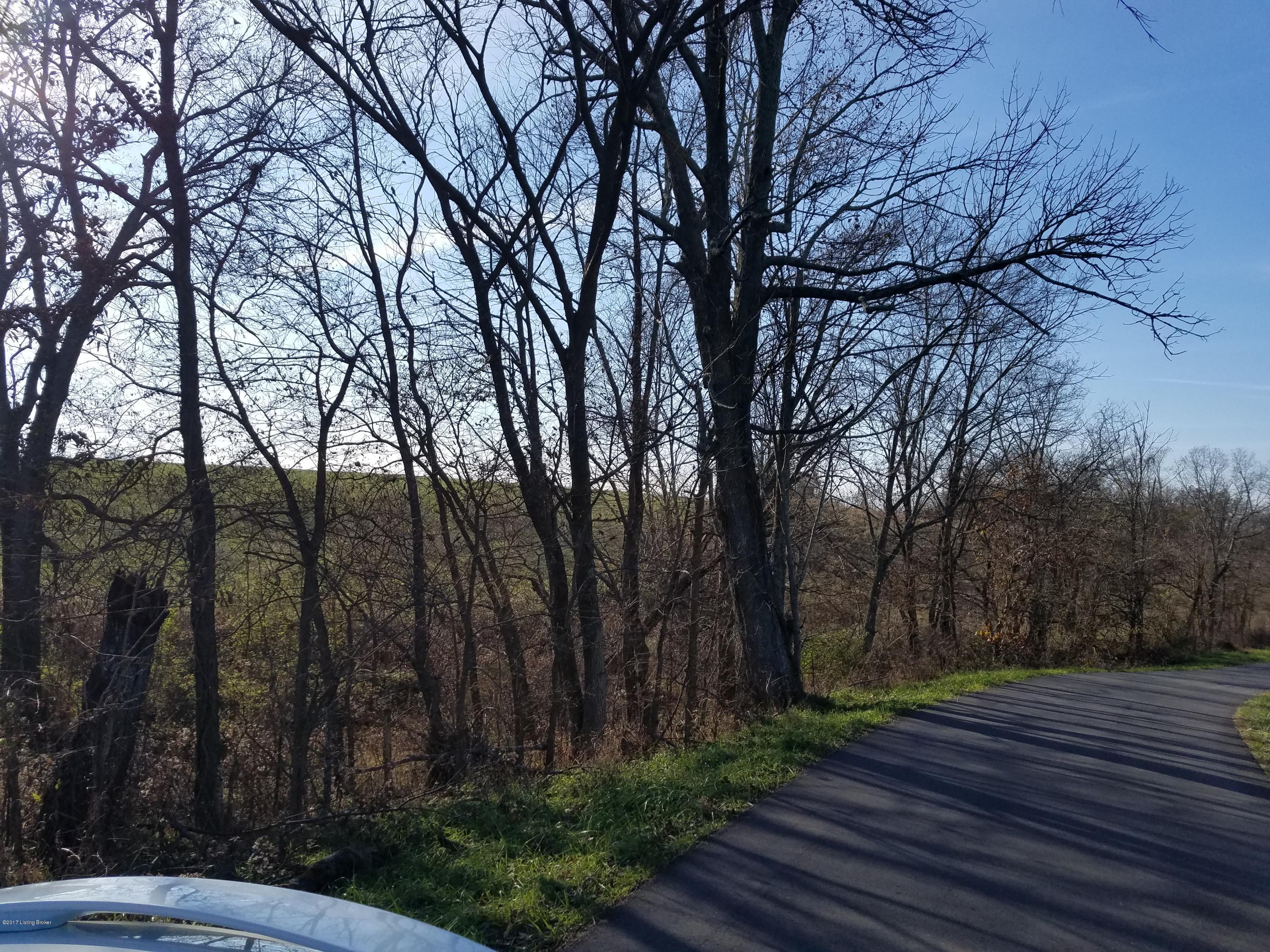 0 Jones Road Campbellsburg, KY 40011 - Photo 5 of 5 20171114_145331