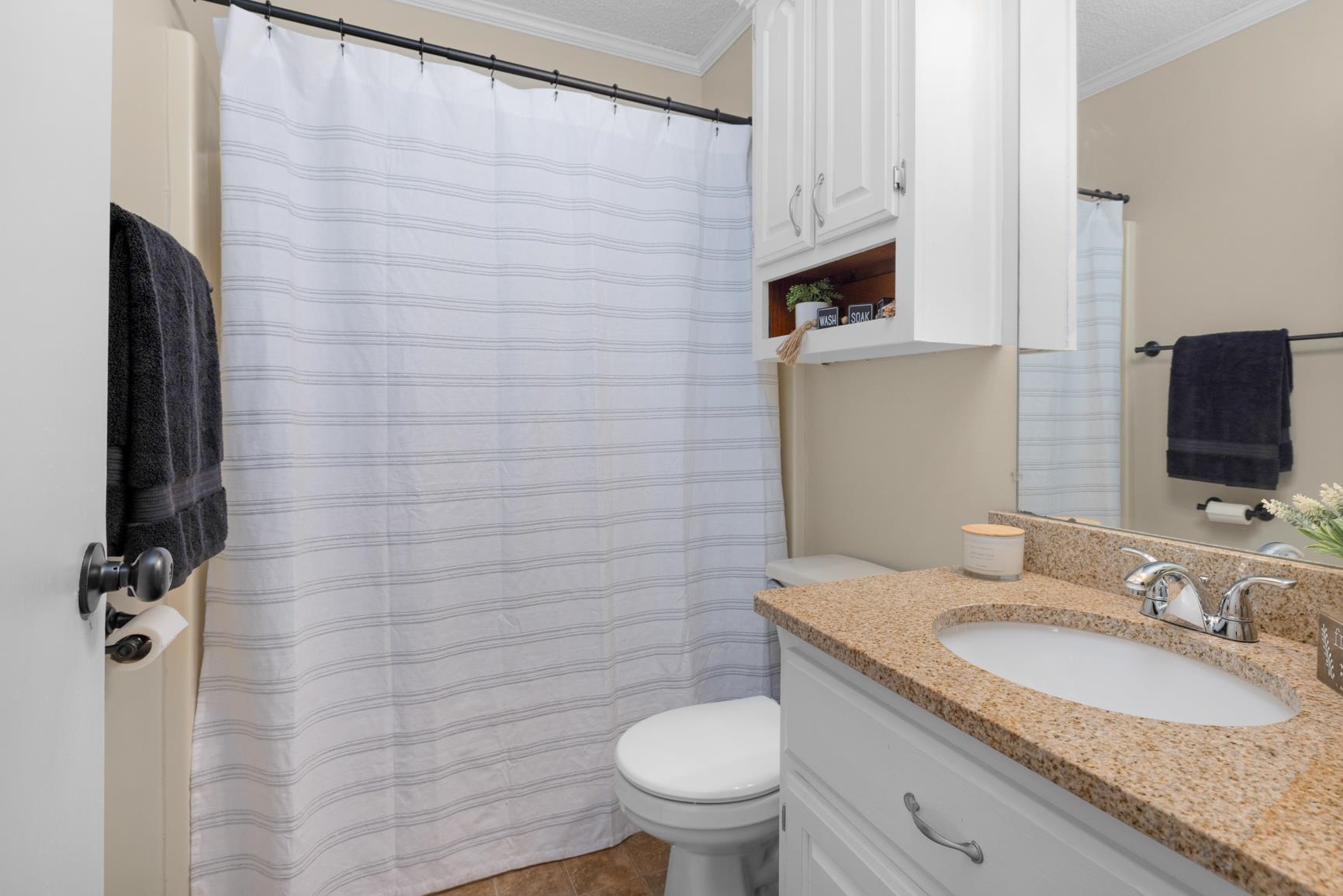 284 Pwr Loop Munford, TN 38058 - Photo 23 of 36 Bathroom with crown molding, vanity, and a shower with shower curtain