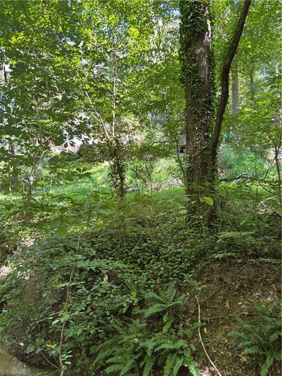 924 Sunset Road Clemmons, NC 27012 - Photo 3 of 6 Gallery Image 3