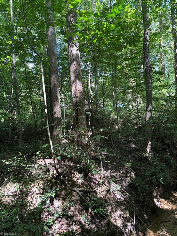 924 Sunset Road Clemmons, NC 27012 - Photo 5 of 6 Gallery Image 5