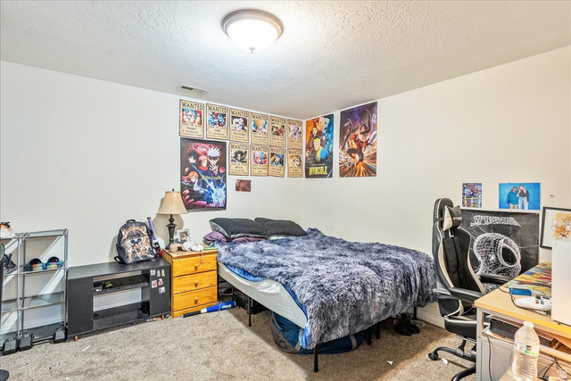 316 Azure Circle Draper, UT 84020 - Photo 39 of 48 Carpeted room with a ceiling-mounted light fixture