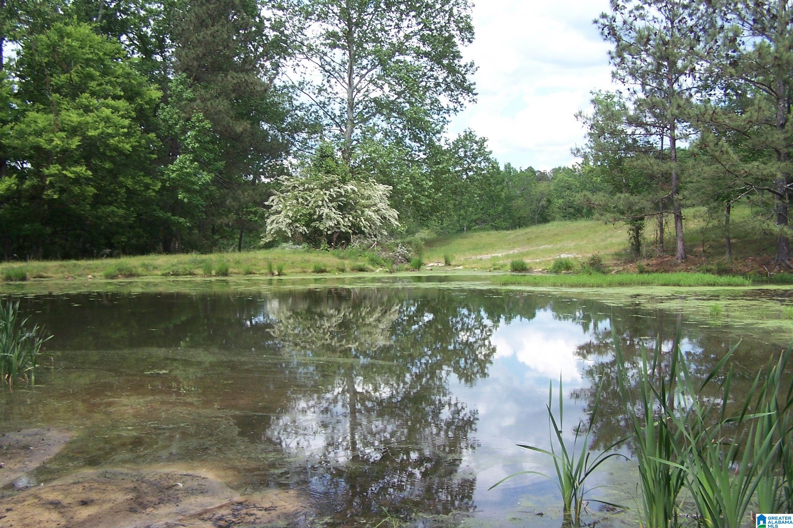 Burton Loop Road Altoona, AL 35952 - Photo 5 of 29 Gallery Image 5