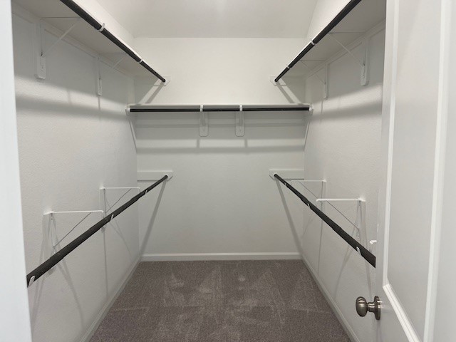 2139 Mosaic Vly Court Angleton, TX 77515 - Photo 13 of 14 a view of entryway