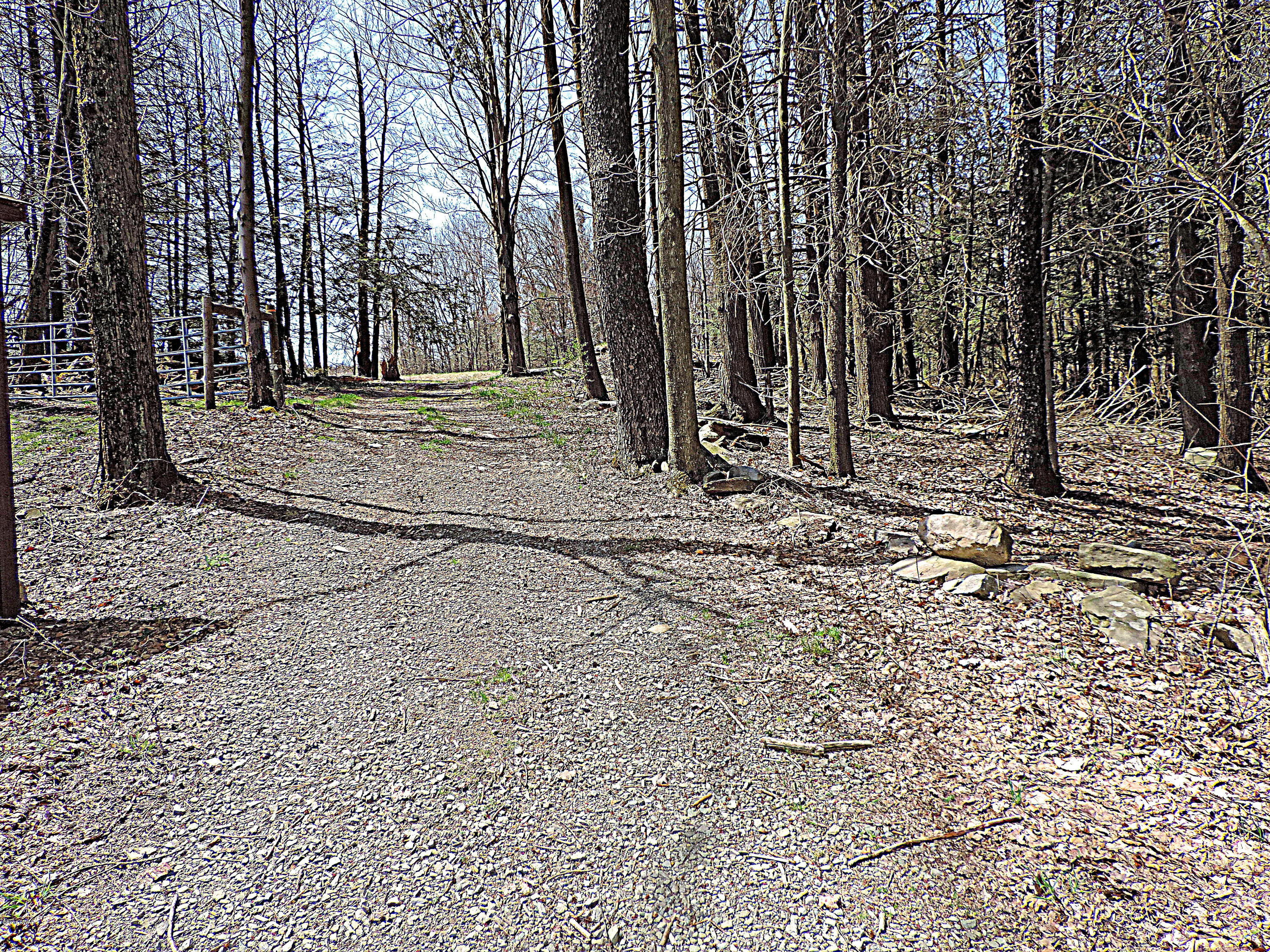 441 Huckleberry Road Newfoundland, PA 18445 - Photo 44 of 58