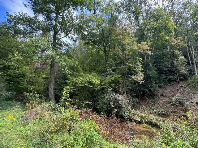 $34,000 | Lot 67 Mason Creek Lane, Murphy, NC 28906