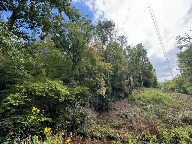 $34,000 | Lot 67 Mason Creek Lane, Murphy, NC 28906