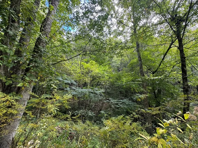 $34,000 | Lot 67 Mason Creek Lane, Murphy, NC 28906