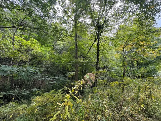 $34,000 | Lot 67 Mason Creek Lane, Murphy, NC 28906