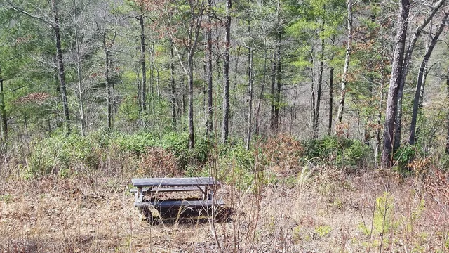 $34,000 | Lot 67 Mason Creek Lane, Murphy, NC 28906